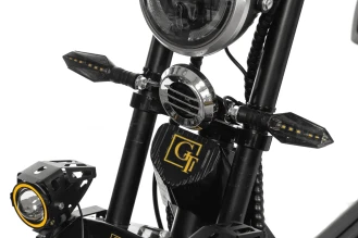 Трехколесный электроскутер Citycoco Trike GT-X11