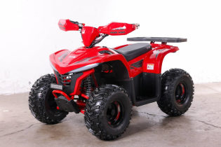 Квадроцикл GreenCamel Гоби K90 (48V 750W R7 Дифф) LUX Bluetooth 