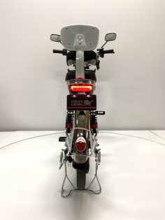 Электровелосипед GreenCamel Транк 20 V8 PRO (R20 500W 60V10Ah) 2х подвес