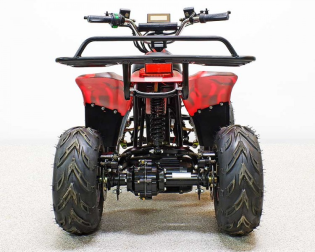 Квадроцикл GreenCamel Гоби K70 (36V 800W R7 Дифференциал)