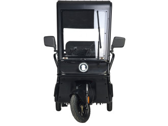 Электротрицикл Wanshida NIPLA 570 60V 1000Вт