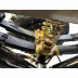 Грузовой электротрицикл SIBTRIKE PRO CARGO 3000W