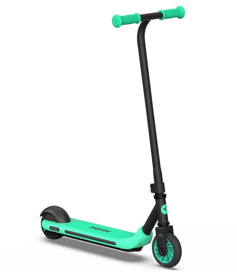 Электросамокат Ninebot Zing A6