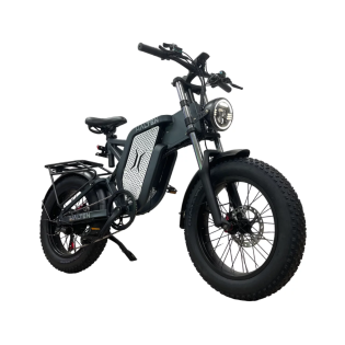 Электровелосипед HALTEN ATLANT 30Ah/48V
